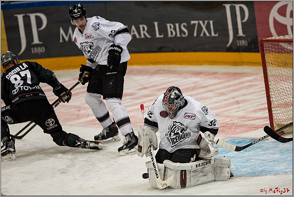DEL, Koelner Haie - Nuernberg Ice Tiger, 24.01.2017